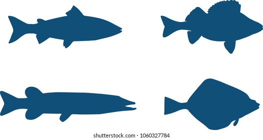 Fish silhouette vector