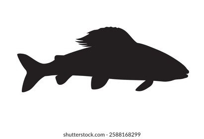 Fish silhouette vector. Freshwater grayling. Black icon isolated on white background