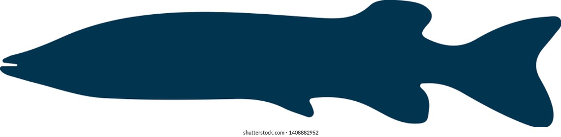 Fish silhouette. Fish vector illustration.