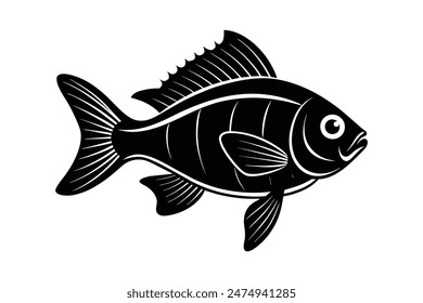 fish silhouette vector  illustration isolated