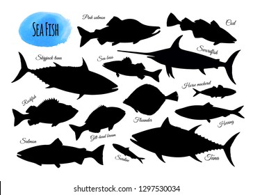 Fish silhouettes. Big set isolated on white background. Hand drawn vector illustration