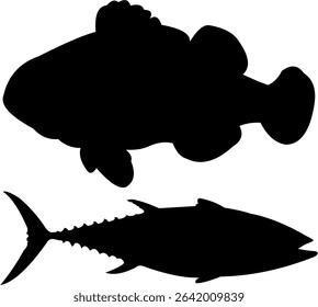 Fish silhouettes in the calm blue ocean
