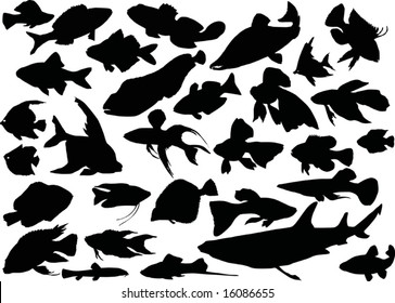 fish silhouettes collection isolated on white background