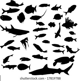 fish silhouettes collection isolated on white background