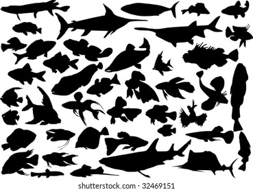 fish silhouettes collection isolated on white background