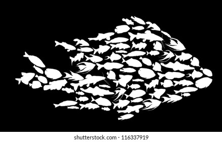 fish silhouettes isolated on black background