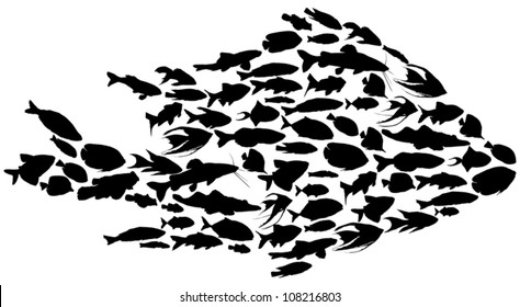 fish silhouettes isolated on white background