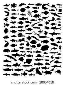 Fish silhouettes isolated on white. Vector illustration.