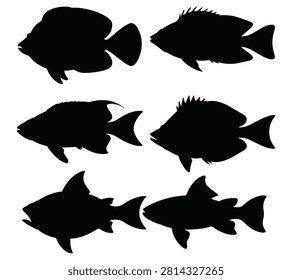 Fish Silhouettes On White Background Collection Of Marine Animal Shapes