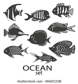 Fish silhouettes set. Collection of black and white sea fish isolated on white background. Vector illustration.