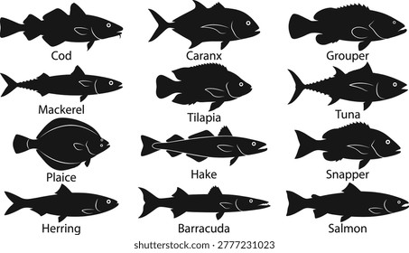 Fish silhouettes, tuna salmon cod black icons, mackerel snapper shapes, seafood collection, aquatic wildlife outlines, ocean animal graphics, marine nature elements, fishing symbols, water creatures.