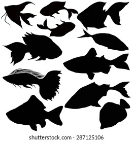 Fish silhouettes for your design