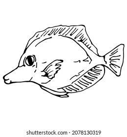 Ein Fisch. Einfaches, schwarz-weißes Vektorbild eines Fisches. Doodles, Skizze. Für Bücher, Logos, Labels, Illustrationen.