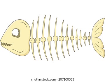 Fish skeleton