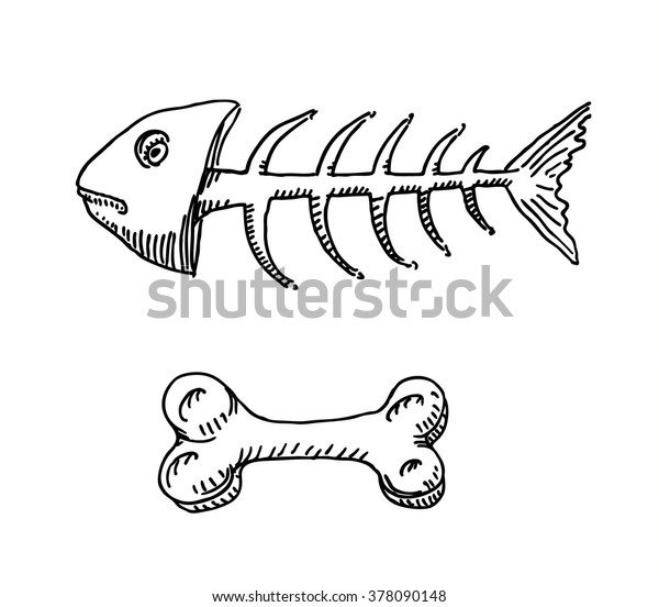 Vector De Stock Libre De Regalias Sobre Dibujo De Esqueleto De Pescado Y378090148