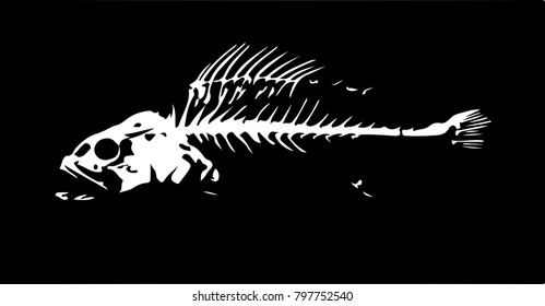 Fish skeleton. Black-and-white sketch. Vector illustration. Eps 8.