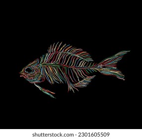 Gráfico del esqueleto de peces en colores, icono del vector sobre negro