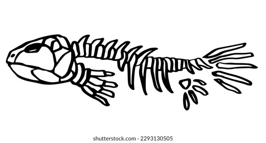 Fish skeleton. Hand drawn black line art vector illustration. Lobe-finned fish. Doodle simple skull skeleton for archaeological, paleontological, alchemy poster, book, game, web designs.