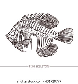 Fish Skeleton. Hand Drawn Sketch Style. Fashion Print And Hipster Poster