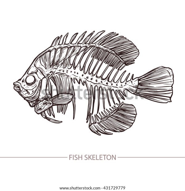 Fish Skeleton Hand Drawn Sketch Style Stock Vector Royalty Free