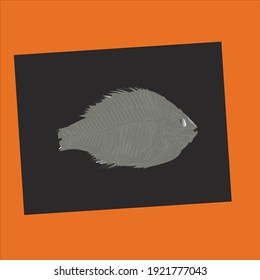 fish skeleton illustration vector art