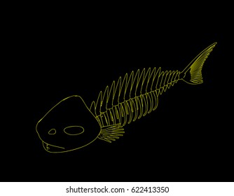 Fish skeleton. Isolated on black background. Vector outline illustration.