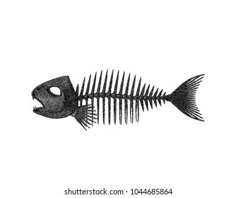 Fish skeleton. Isolated on white background. Vector illustration. Pointillism style.