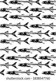 fish skeleton on white background