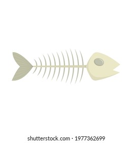 Fish skeleton , vector illustration isolated.
