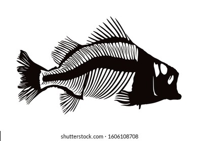 Fish skeleton vector silhouette illustration isolated on white background. Dead fish bone symbol. Fishbone fossil. Diet hungry concept.