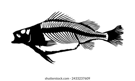 Fish skeleton vector silhouette illustration isolated on white background. Dead fish bone symbol. Fish bone fossil. Diet hungry concept. Fish shape.