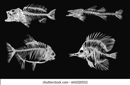 Fish Skeletons - Stylized Vector Art