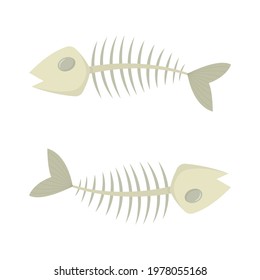 Fish skeletons vector isolated on white background