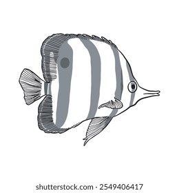 Fish sketch 11 vector isolated on white background