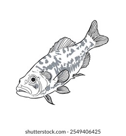 Fish sketch 13 vector isolated