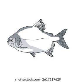 Fish sketch 19 vector art isolated on white