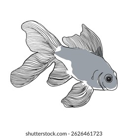 Boceto de pescado 26 línea de Vector aislado en blanco