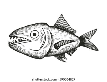 fish sketch