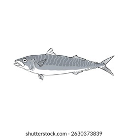 Fish sketch 42 vector art black and white isolated on white