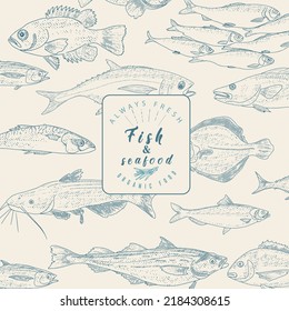 Fish sketch collection in engraved style. Hand drawn seafood frame, fish menu. Hand drawn salmon, perch, tuna, flounder, herring, trout, codfish, mackerel.