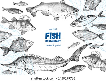 Fish sketch collection. Hand drawn vector illustration. Seafood frame vector illustration. Food menu illustration. Hand drawn perch, mackerel, sturgeon, catfish. Engraved style. Sea and river fish