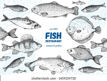 Fish sketch collection. Hand drawn vector illustration. Seafood frame vector illustration. Food menu illustration. Hand drawn flounder, mackerel, perch, catfish, bream. Sea and river fish.