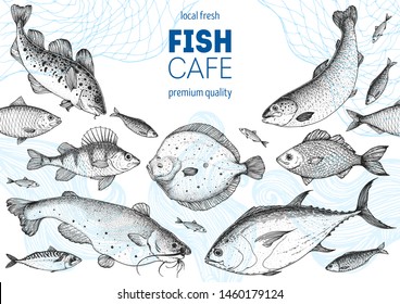 Fish sketch collection. Hand drawn vector illustration. Seafood frame vector illustration. Food menu illustration. Hand drawn flounder, perch, catfish, bream, cod, tuna, salmon. Sea and river fish. 