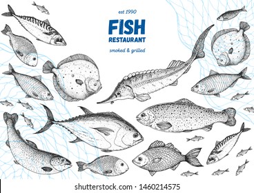 Fish sketch collection. Hand drawn vector illustration. Seafood frame vector illustration. Food menu illustration. Hand drawn salmon, mackerel, sturgeon, flounder, tuna. Engraved style. Engraved fish 