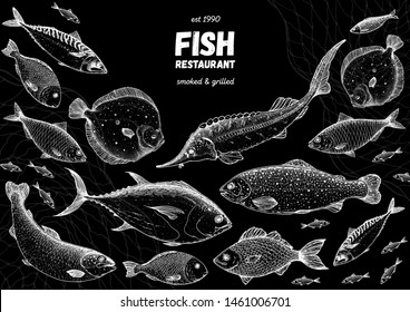 Fish sketch collection. Hand drawn vector illustration. Seafood frame vector illustration. Food menu illustration. Hand drawn salmon, mackerel, sturgeon, flounder, tuna. Engraved style. Engraved fish