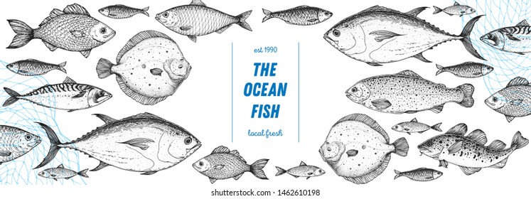 Fish sketch collection. Hand drawn vector illustration. Seafood frame. Food menu illustration. Hand drawn tuna, flounder, cod fish, herring, rainbow trout, mackerel. Engraved style