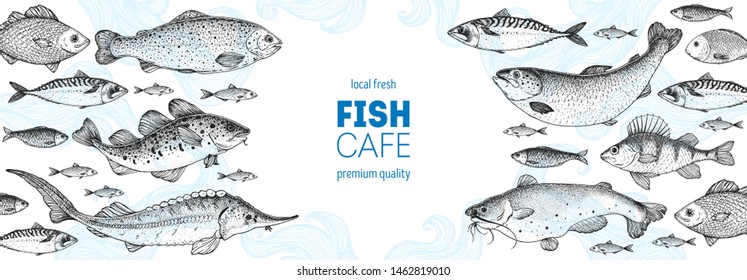 Fish sketch collection. Hand drawn vector illustration. Seafood frame. Food menu illustration. Hand drawn sturgeon, tuna, cod fish, herring, rainbow trout, mackerel, salmon, perch. Engraved style