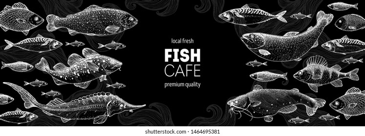 Fish sketch collection. Hand drawn vector illustration. Seafood frame. Food menu illustration. Hand drawn sturgeon, tuna, cod fish, herring, rainbow trout, mackerel, salmon, perch. Engraved style