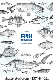 Fish sketch collection. Hand drawn vector illustration. Seafood frame vector illustration. Food menu illustration. Hand drawn perch, mackerel, sturgeon, catfish. Engraved style. Sea and river fish