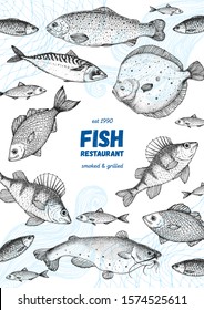 Fish sketch collection. Hand drawn vector illustration. Seafood frame vector illustration. Food menu illustration. Hand drawn flounder, mackerel, perch, catfish, bream. Sea and river fish.